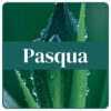 Pasqua - dla lektorów włoskiego