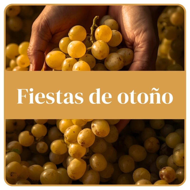 MultiMagazyn -06- Fiestas de otoño