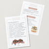 MultiMagazyn -07- Weihnachten und Wintertraditionen